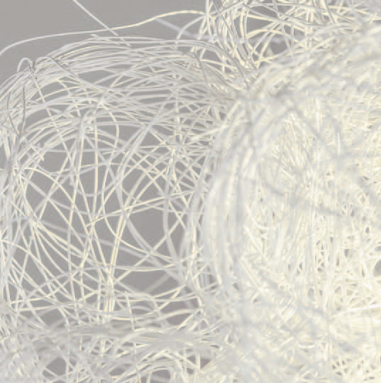 White · BL