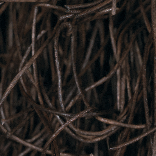 Brown · 47