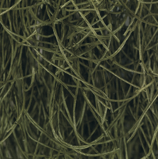 Green · 51